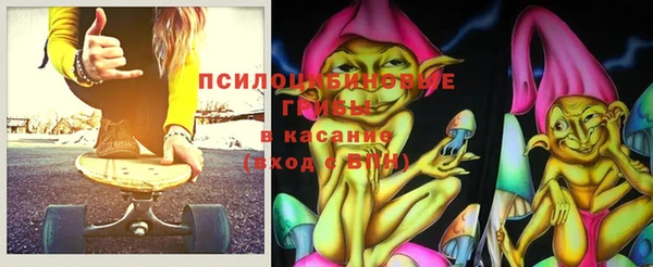 амф Алексин