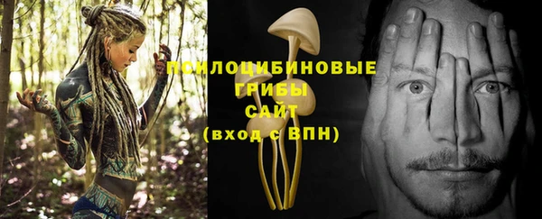 прущие крисы Саяногорск